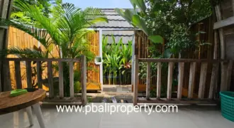 Villa the Lumbung